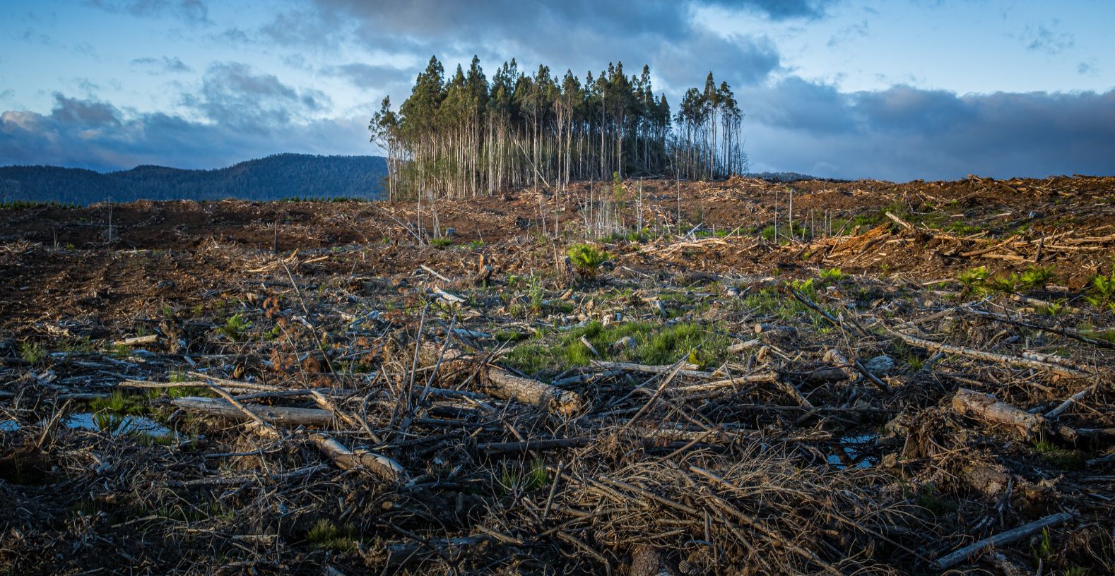 Decoding the Interlinkages between Climate Change, Global Warming and Environment Degradation